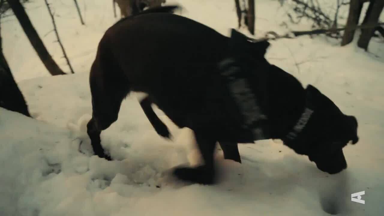 Évaporés : Victoria Charlton enquête - Saison 2