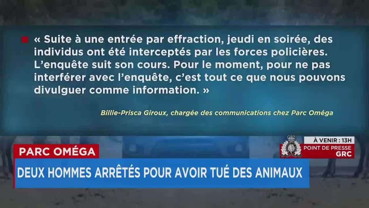 Plusieurs animaux abattus par des intrus au Parc Om ga justice