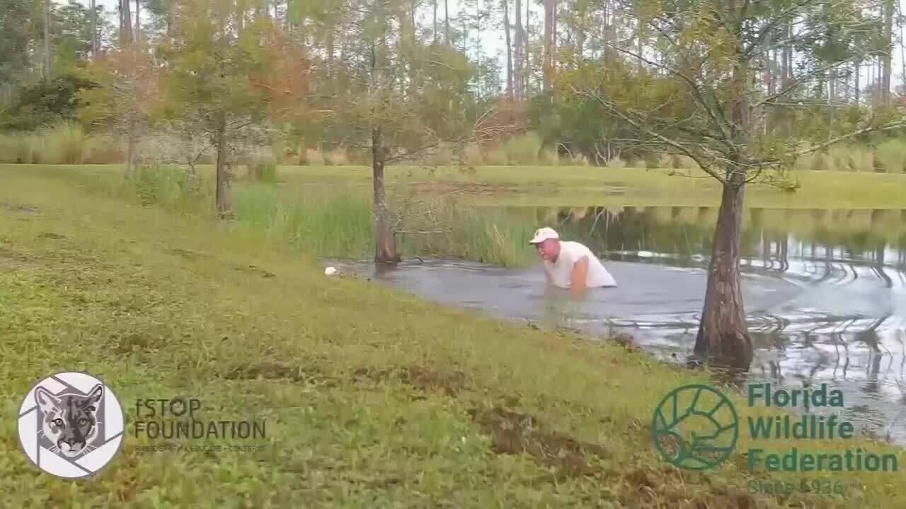 Il sauve son chien des crocs d’un alligator : images