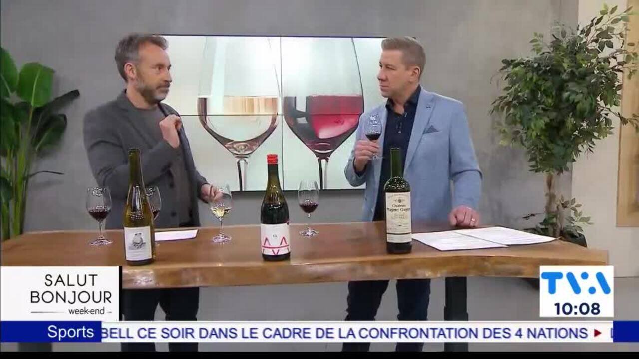 Vin à moins de 20 $ : Voici 3 choix incontournables
