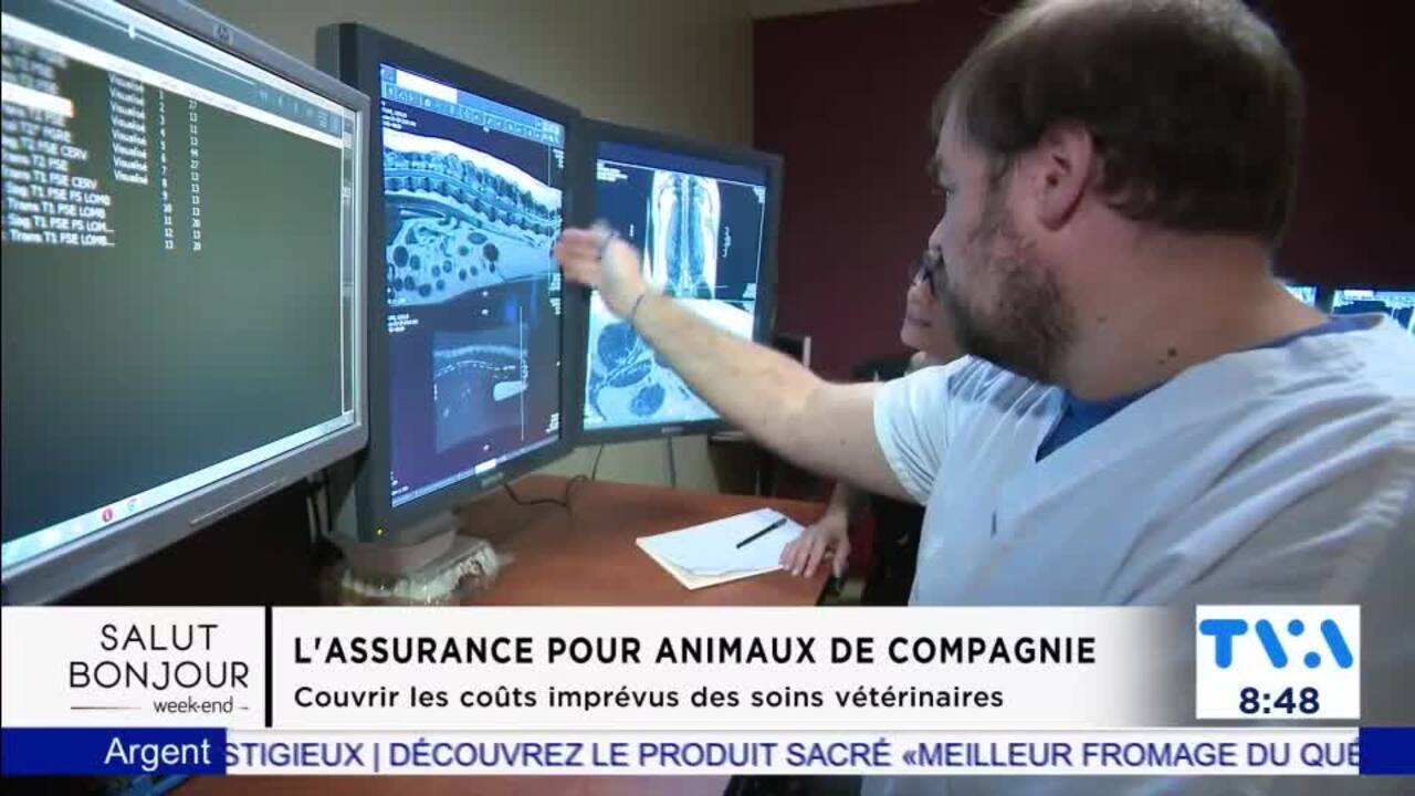 Assurer notre animal