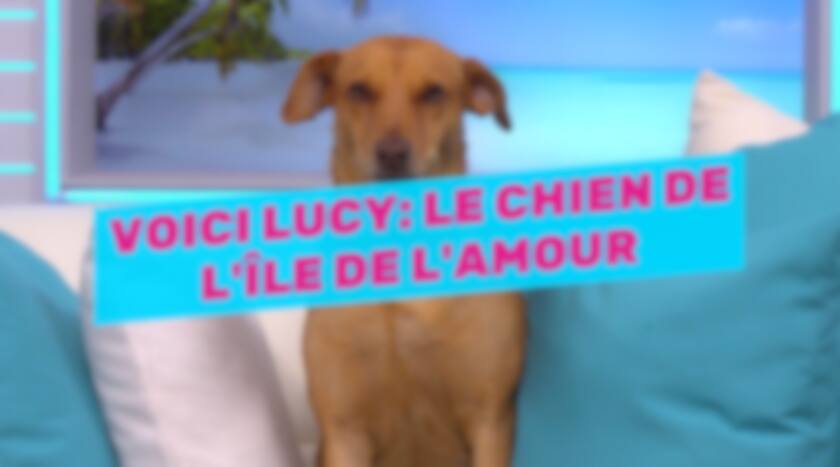 SDC- VOICI LUCY 