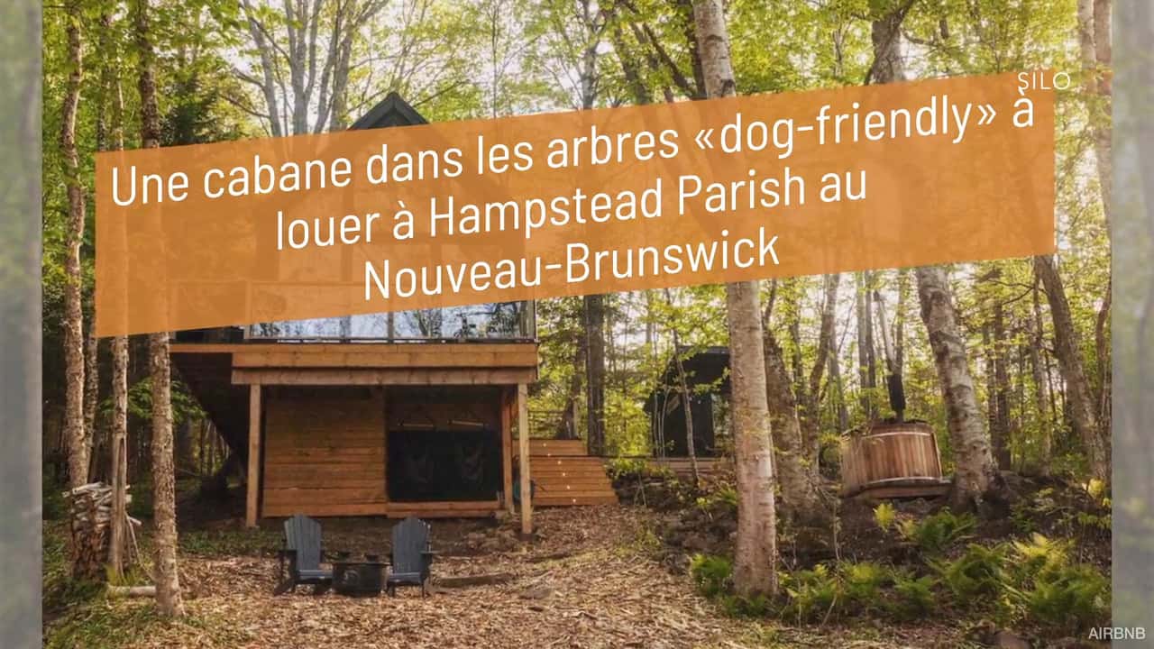 Une cabane dans les arbres « dog-friendly » à louer à Hampstead Parish au Nouveau-Brunswick