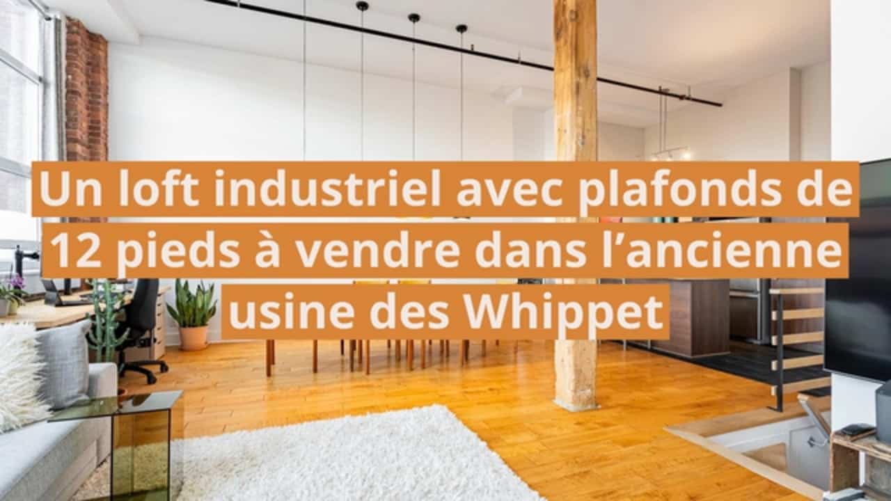 Une maison unifamiliale à revenus avec puits de lumière en plein cœur du Mile-End à vendre