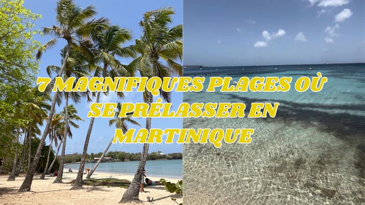 [VIDÉO] 7 magnifiques plages où se prélasser en Martinique