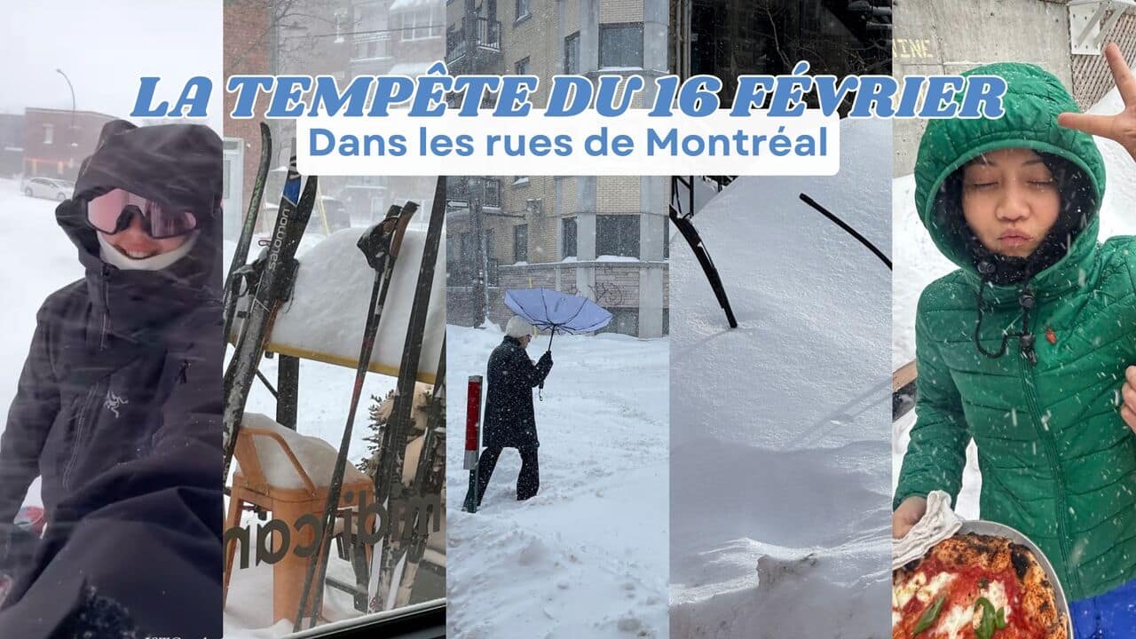 [VIDÉO] 45 photos de la gigantesque tempête de neige du 16 février à travers vos yeux