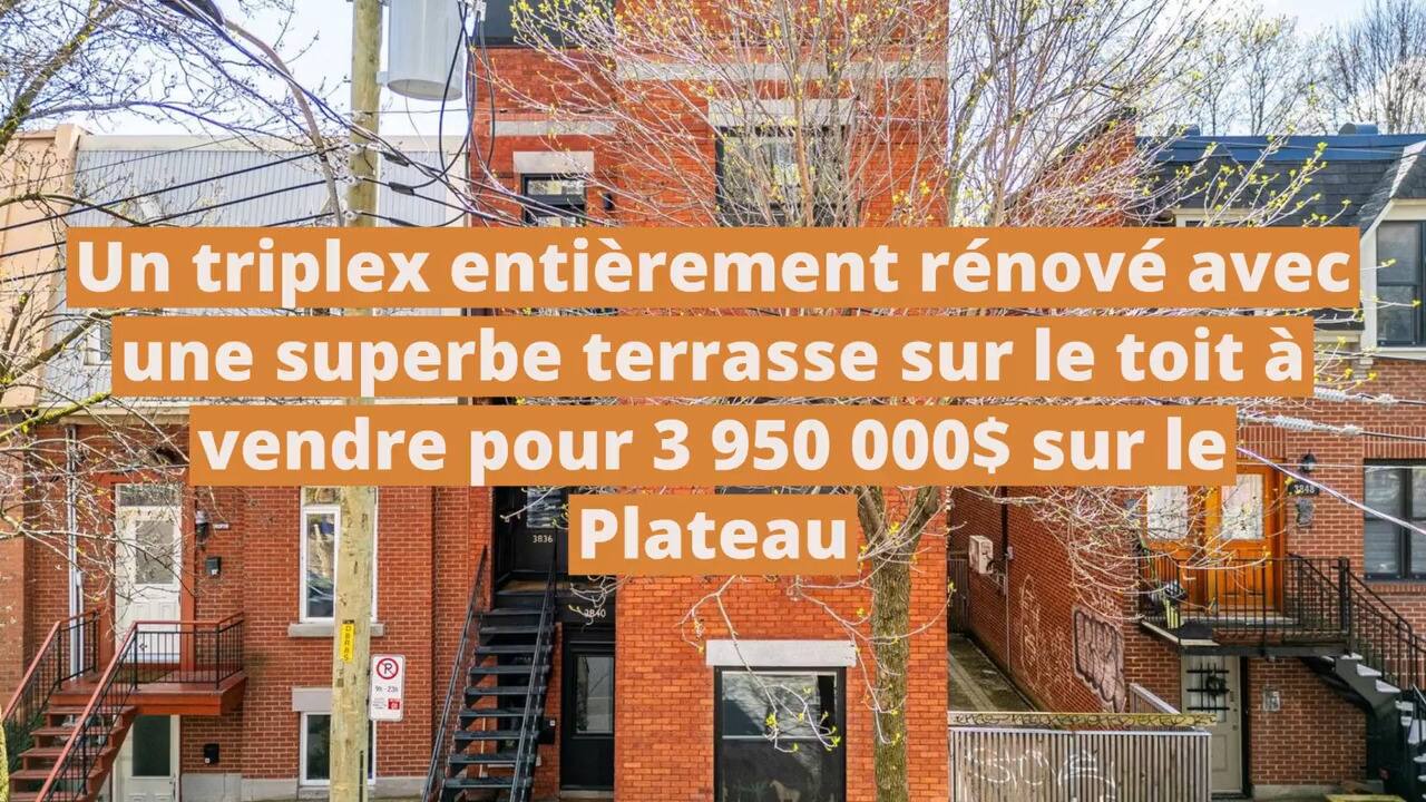 Un triplex entièrement rénové avec une superbe terrasse sur le toit à vendre pour 3 950 000$ sur le Plateau