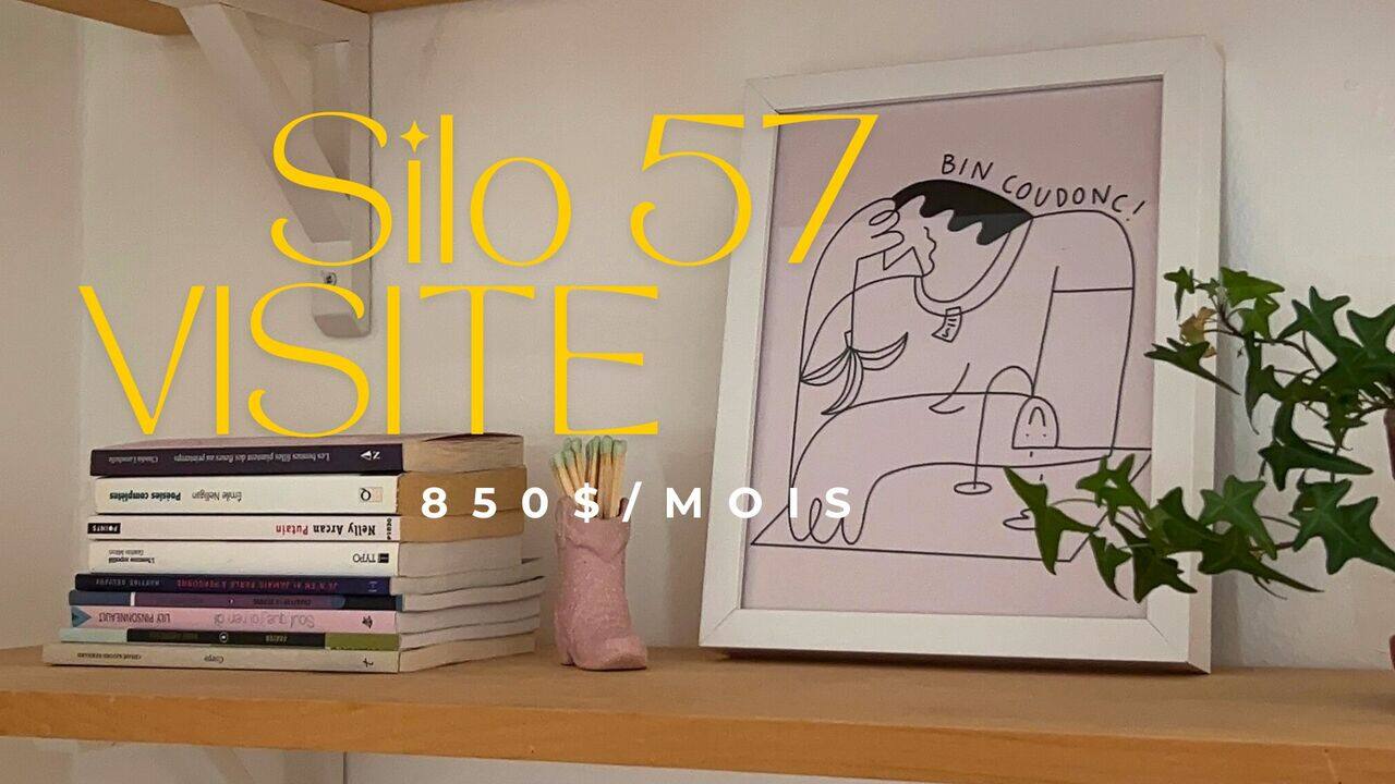 [VIDÉO] Visite chez Camille: un appartement à 850$ par mois dans Rosemont-La Petite-Patrie