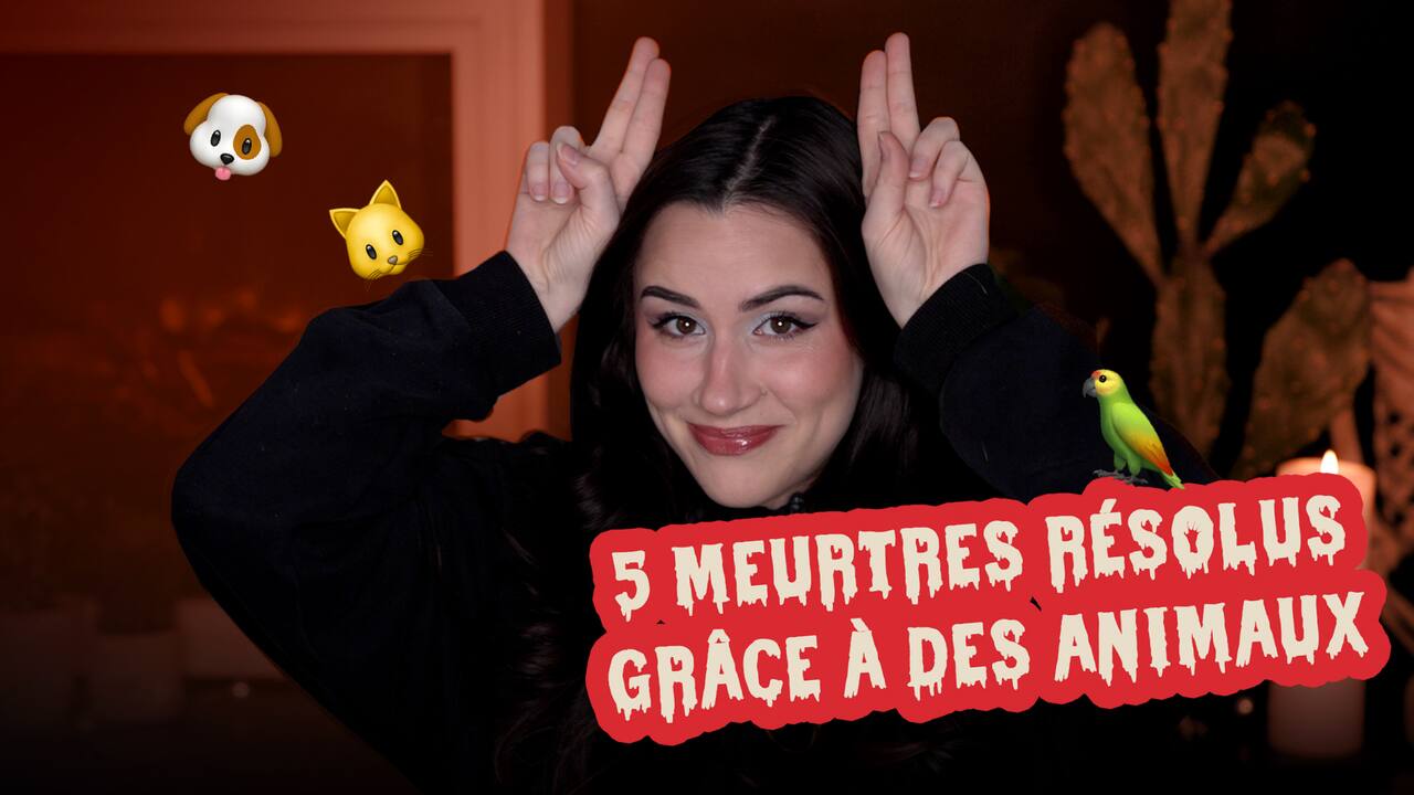 Billie - CECI N'EST PAS UN TUTORIEL BEAUTÉ - 5 meurtres résolus grâce à des animaux