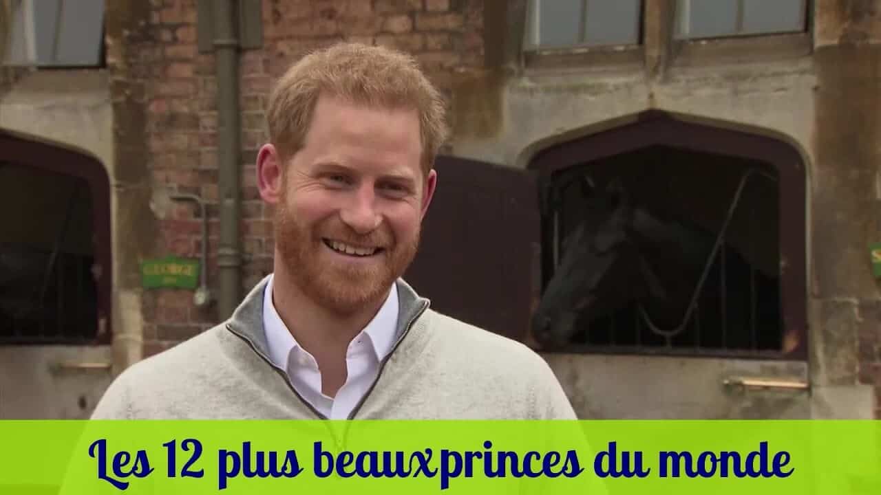 Les 12 plus beaux princes du monde