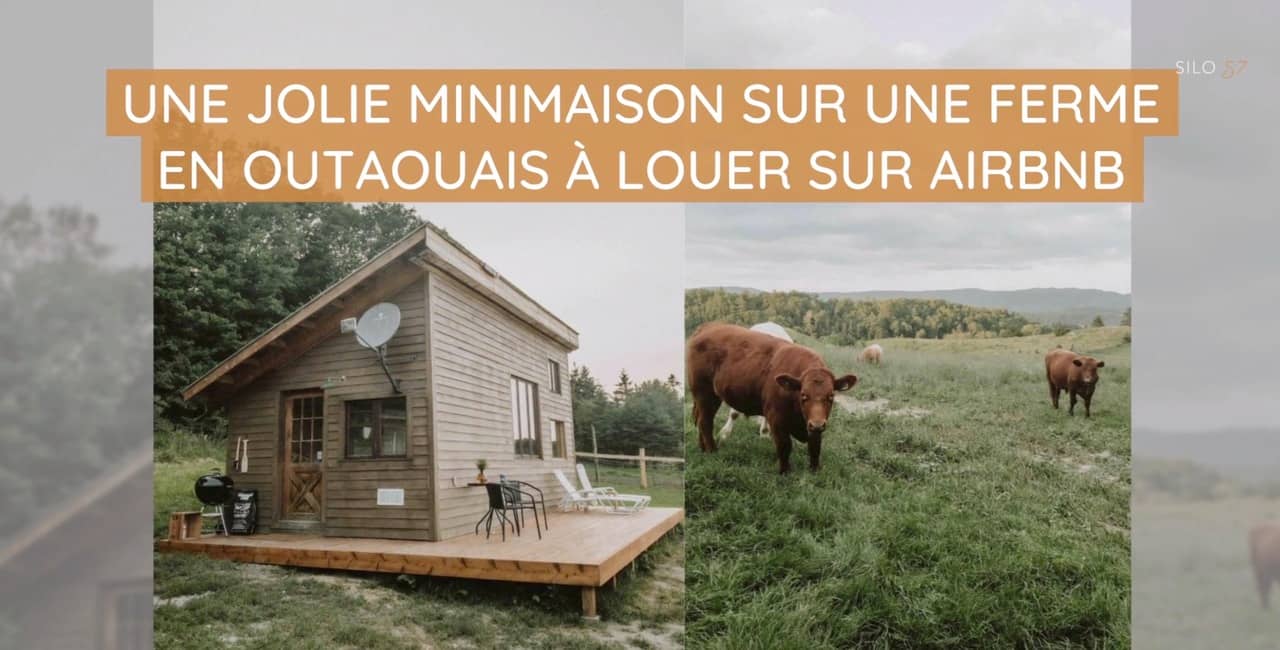 Une jolie minimaison sur une ferme en Outaouais à louer sur Airbnb