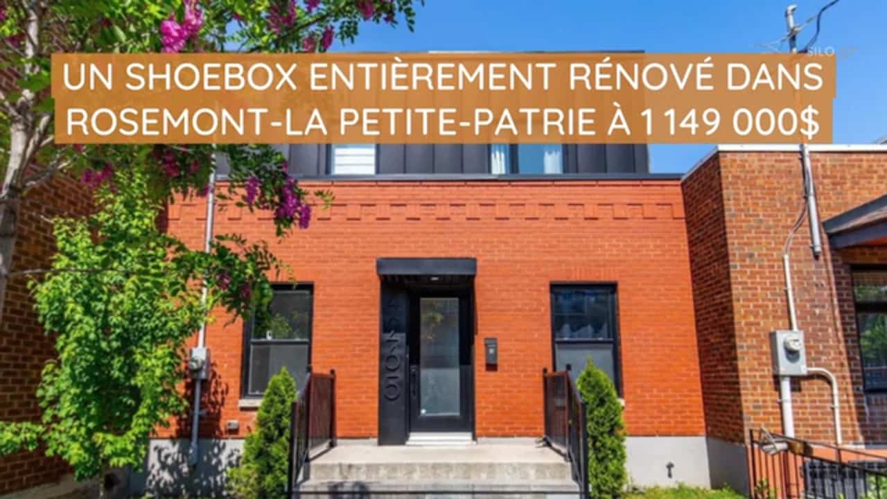 Un shoebox entièrement rénové dans Rosemont-La Petite-Patrie à 1 149 000$