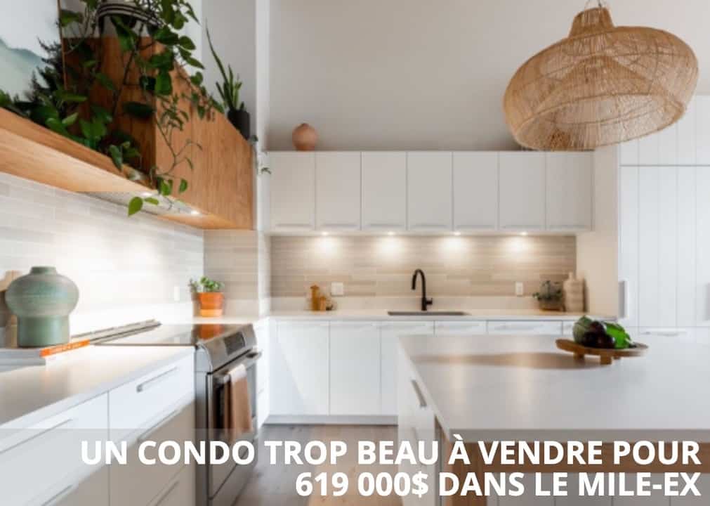 Un condo trop beau à vendre dans le Mile-Ex pour 619 000$