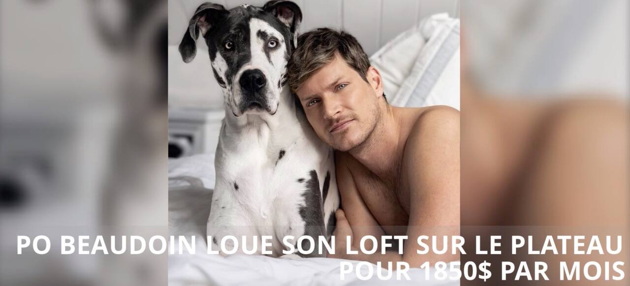 PO Beaudoin loue son loft sur le Plateau pour 1850$ par mois