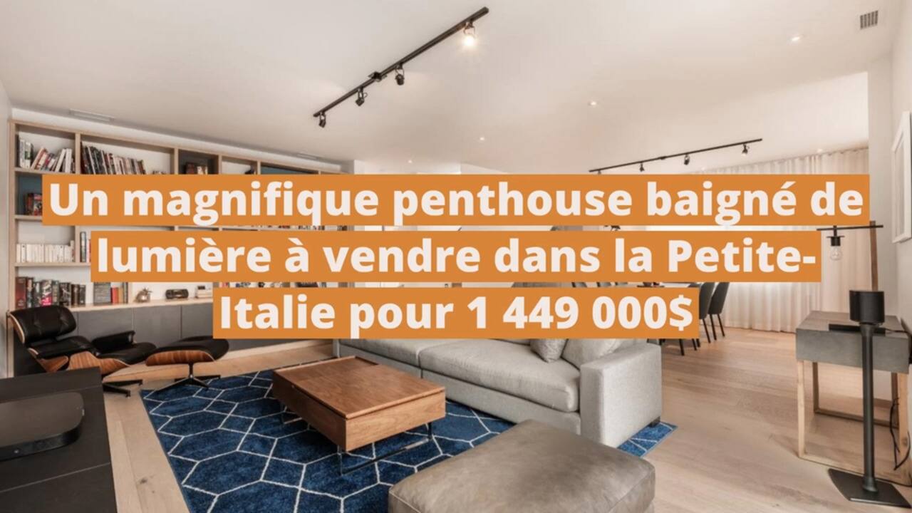 Un magnifique penthouse baigné de lumière à vendre dans la Petite-Italie pour 1 449 000$
