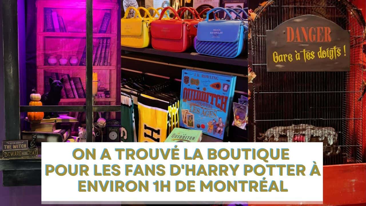 [VIDÉO] On a trouvé LA boutique pour les fans d'Harry Potter à environ 1h de Montréal