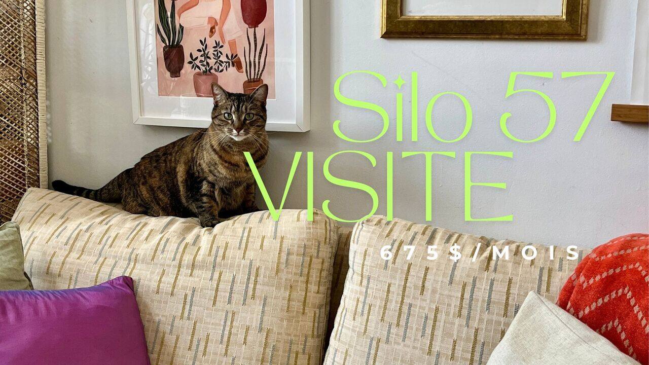 [VIDÉO] Visite chez Rachel: un appartement à 675$ par mois dans La Petite-Patrie