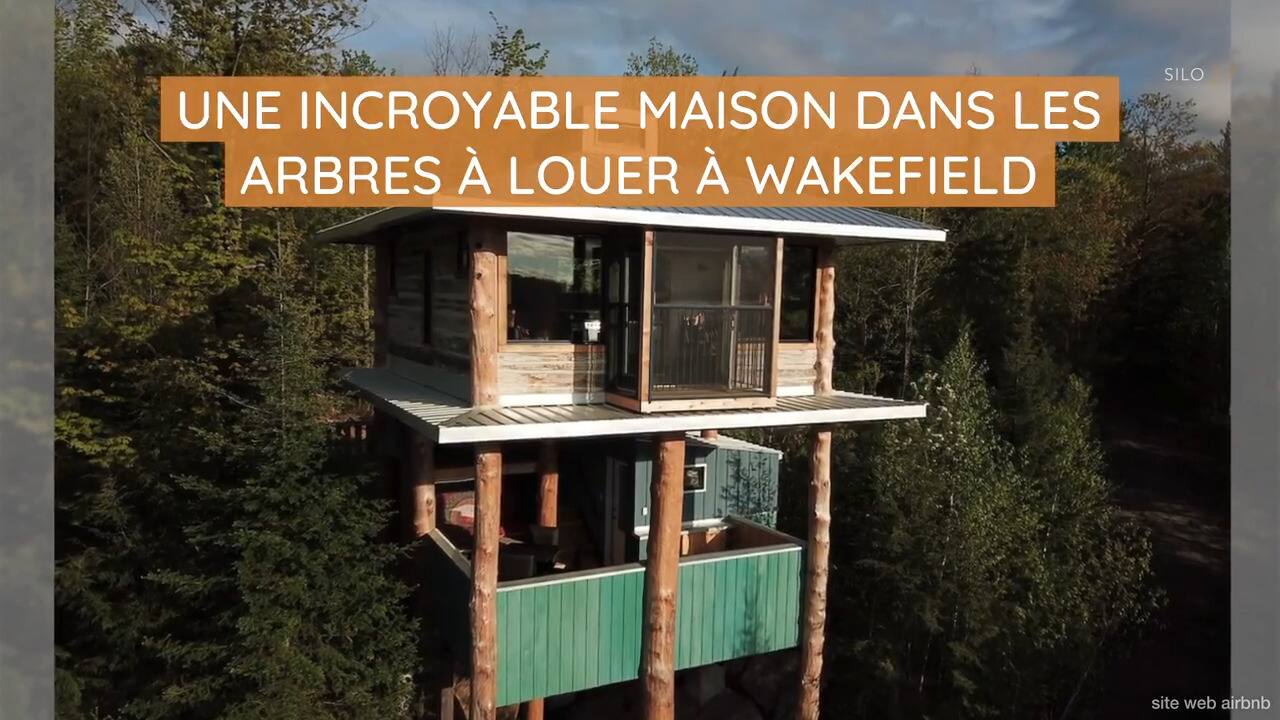 Une incroyable maison dans les arbres à louer à Wakefield