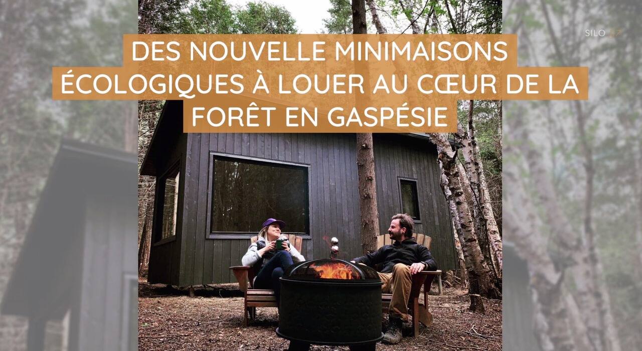 Des nouvelle minimaisons écologiques à louer au coeur de la forêt en Gaspésie