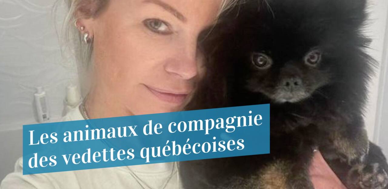 Les animaux de compagnie ces vedettes québécoises