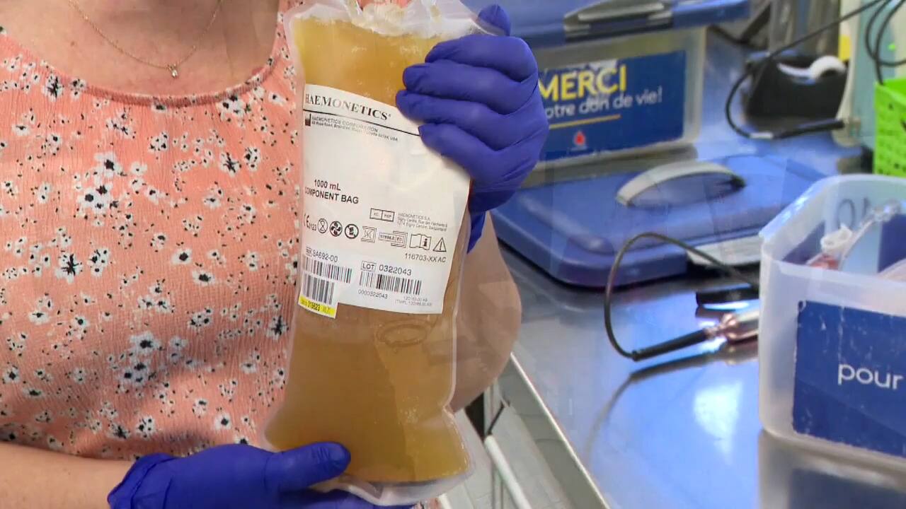 Atteint d'un cancer incurable, il a eu la vie sauve grâce à un don de cellules souches d'une pure inconnue: reportage Martin