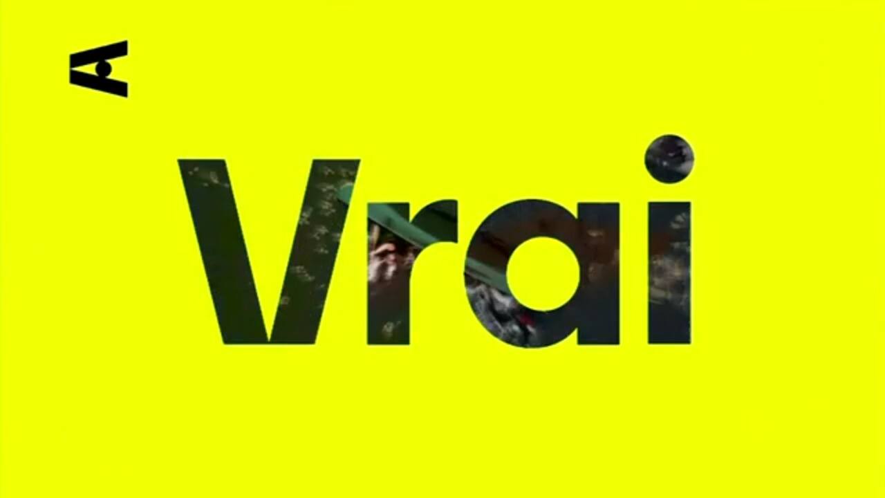 L'application Vrai va offrir des contenus exclusivement en français - reportage