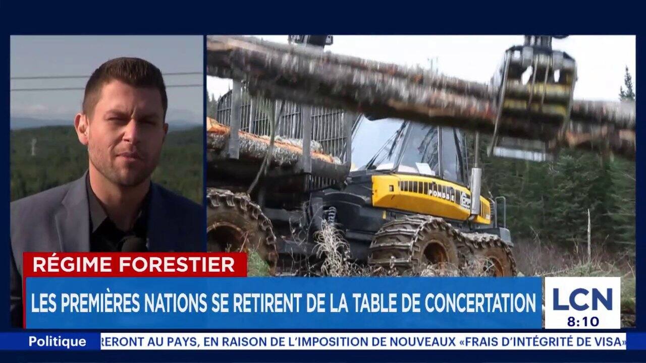 Régime forestier: les Premières Nations se retirent de la table de ...