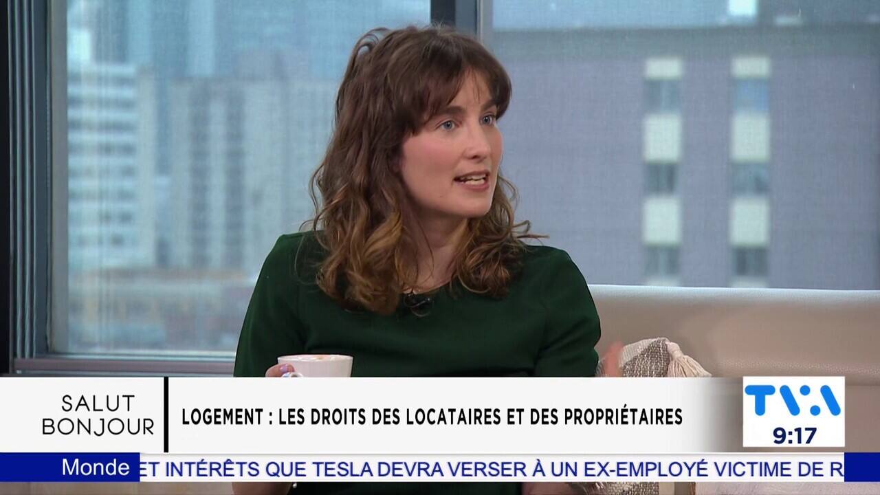 Droit des locataires et propriétaires 