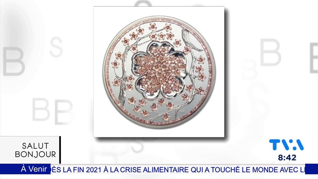 monnaie royal canadienne (1)