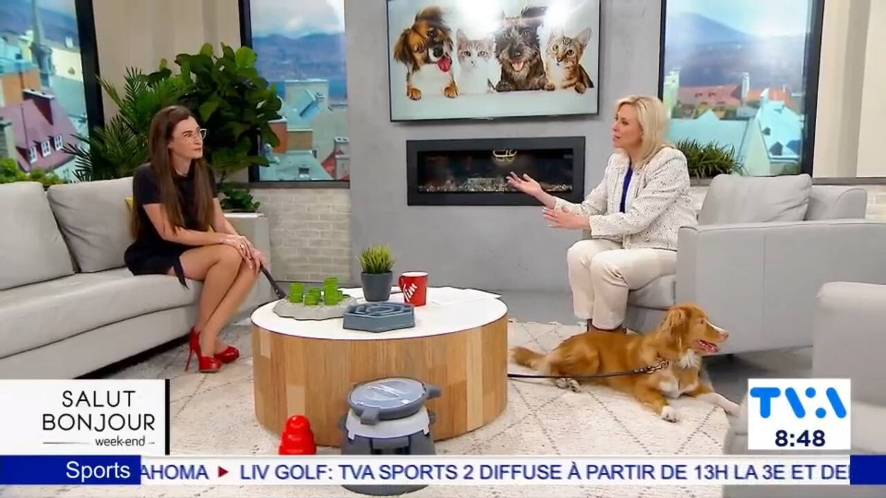 HillsPet_Intégration