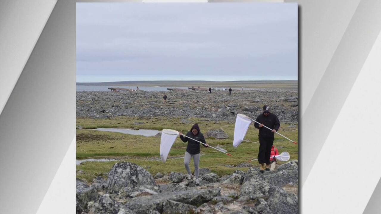 COP 15 - Espace pour la vie