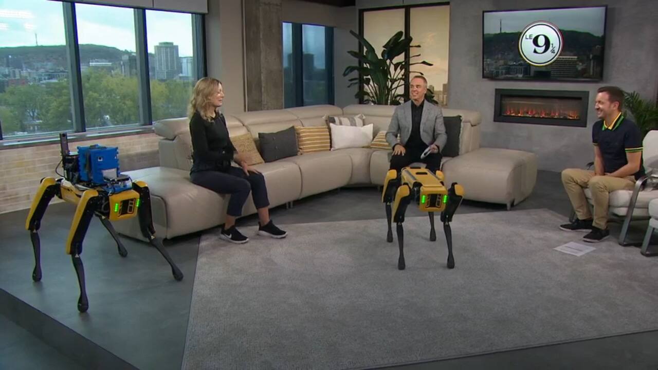 WEB_SalutBonjour_2021-10-22T09_19_11__0793000-04_00D555555