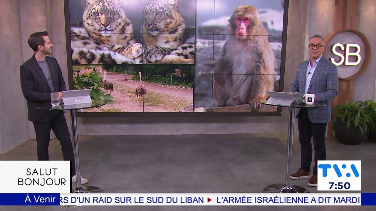 7h50 BUZZ: L'impact de l'éclipse sur les animaux du Zoo de Granby