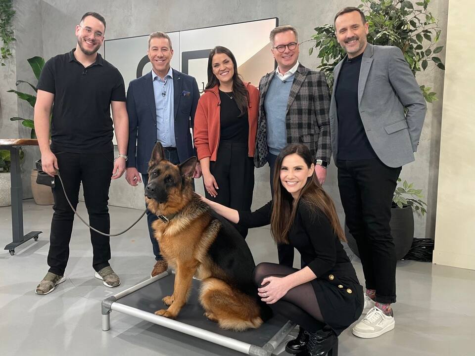 Dresseur de chiens à la rescousse de SBWE