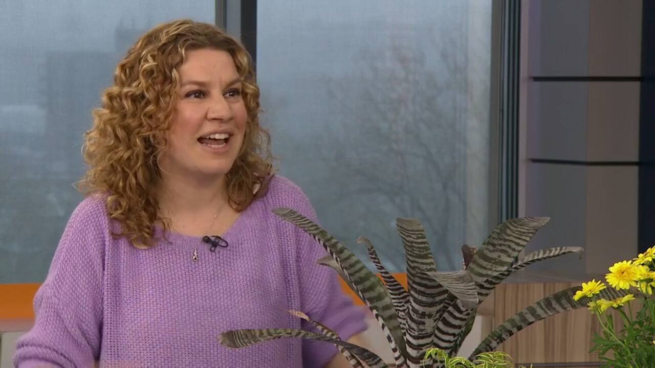 WEB_SalutBonjour_2021-04-21T09_20_15__6865667-04_00D390857