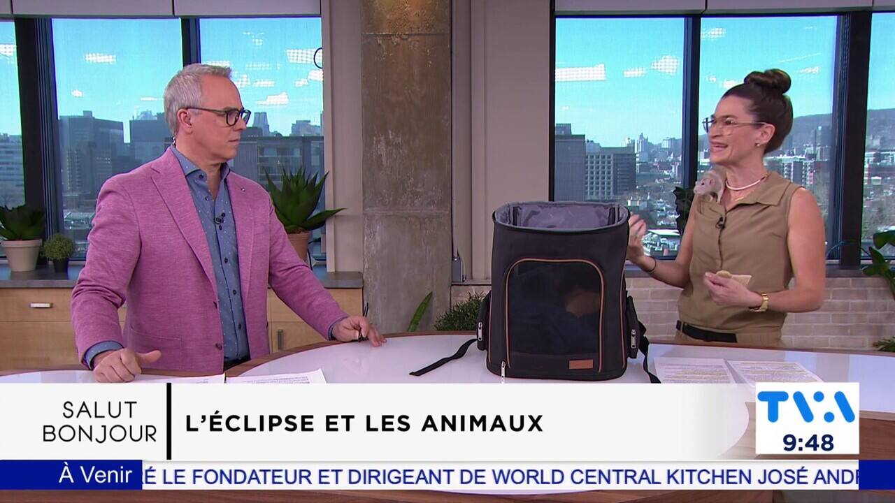 Le 9h45: CLAUDIA GILBERT, collaboratrice, sur les effets de l'éclipse sur les animaux