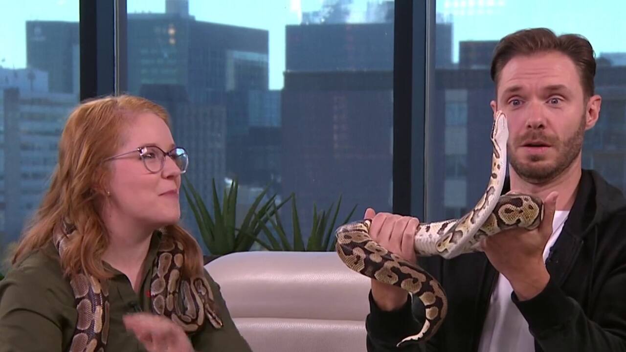 Martin Vachon présente son nouveau show