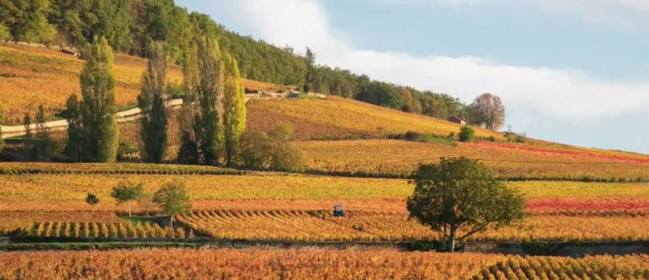 3 petits bijoux à bon prix 