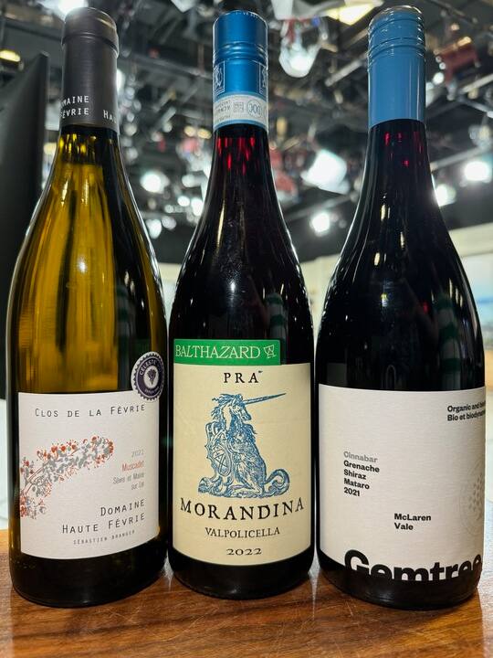 3 bon vins biologiques... À bon prix !