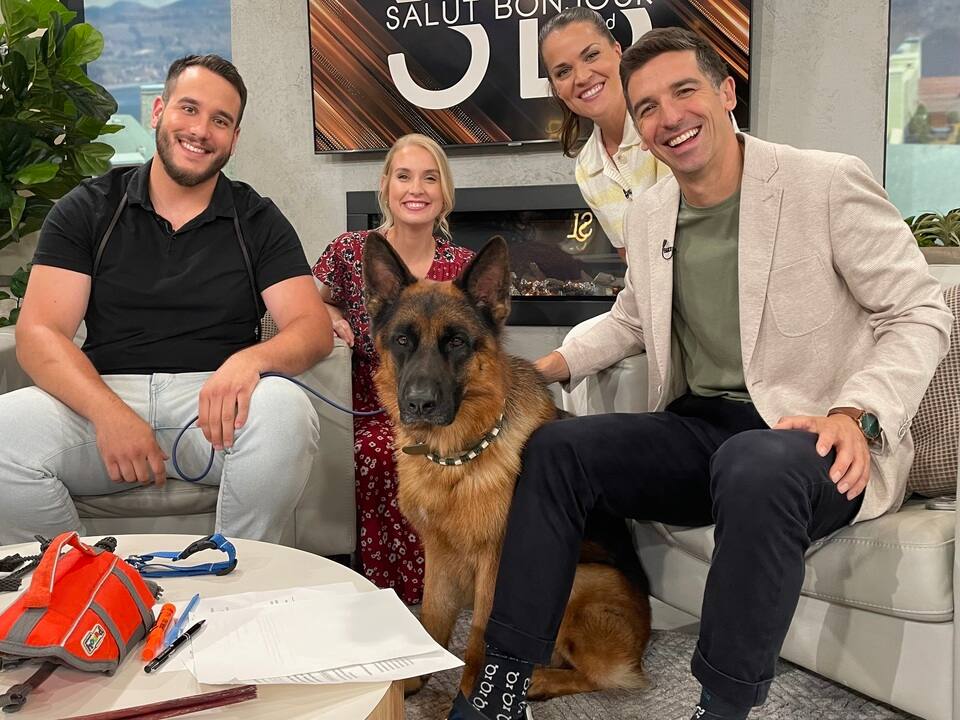 SEGMENT CHIEN.transfer