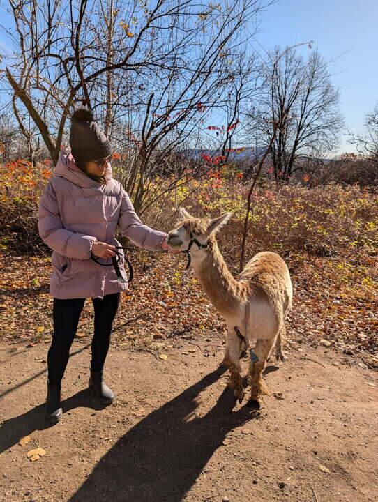 Plein air et animaux : 6 activités originales à vivre au Québec