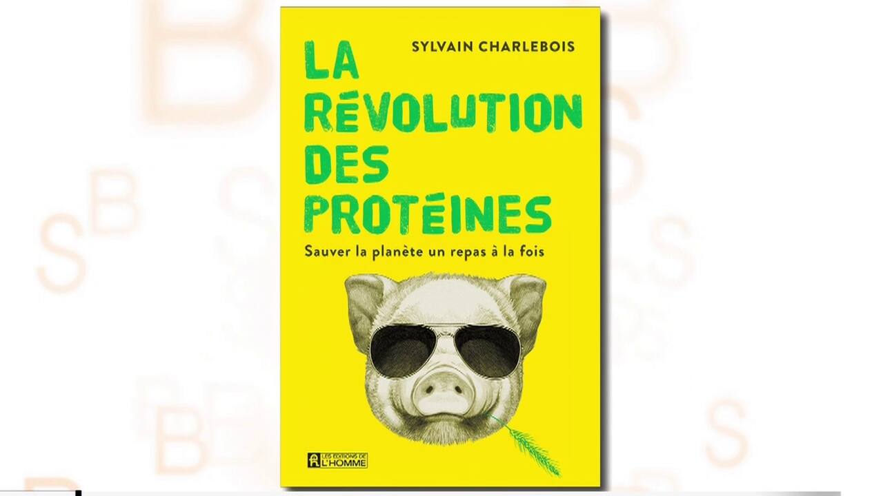 Révolution des protéines 
