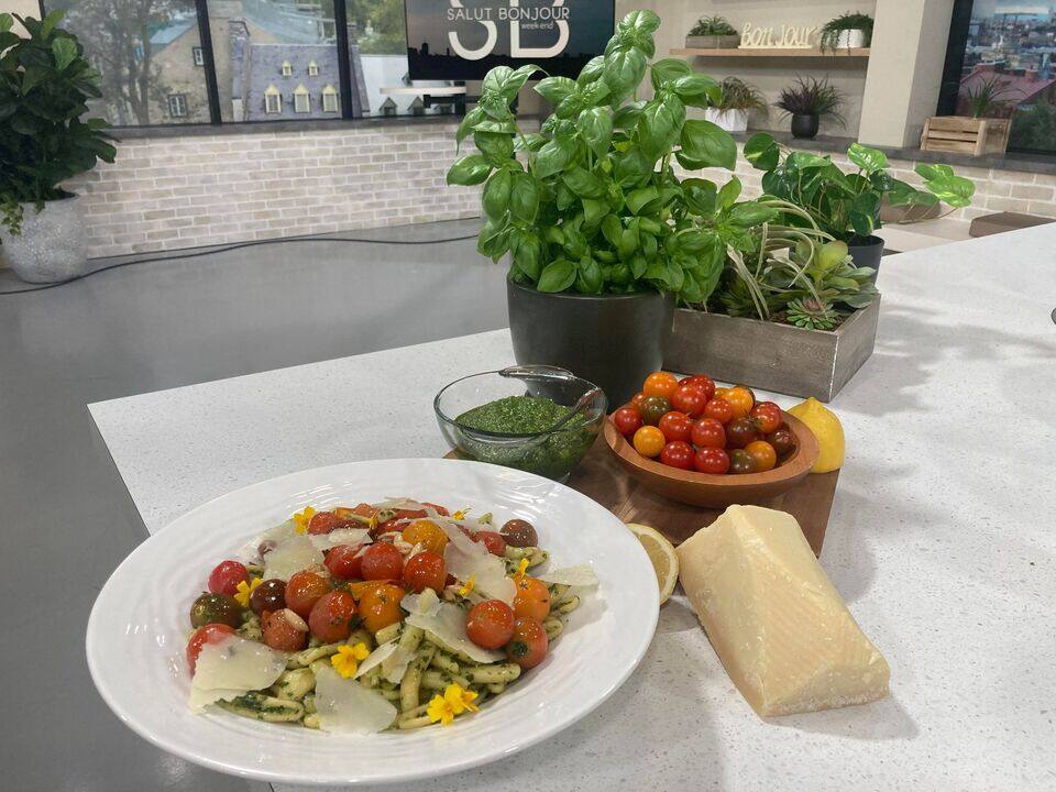 Cavatellis au pesto de basilic, tomates éclatées, parmesan et amandes rôties à l’ail   