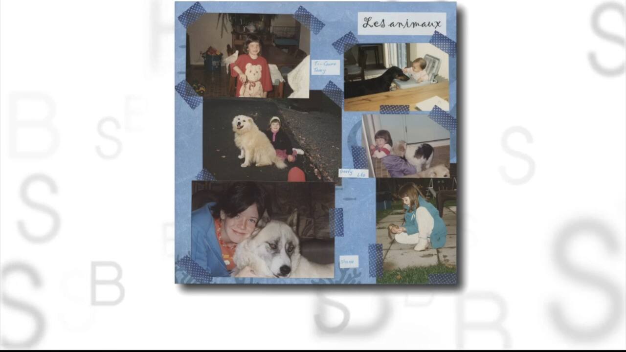 Métiers de rêve de l'équipe