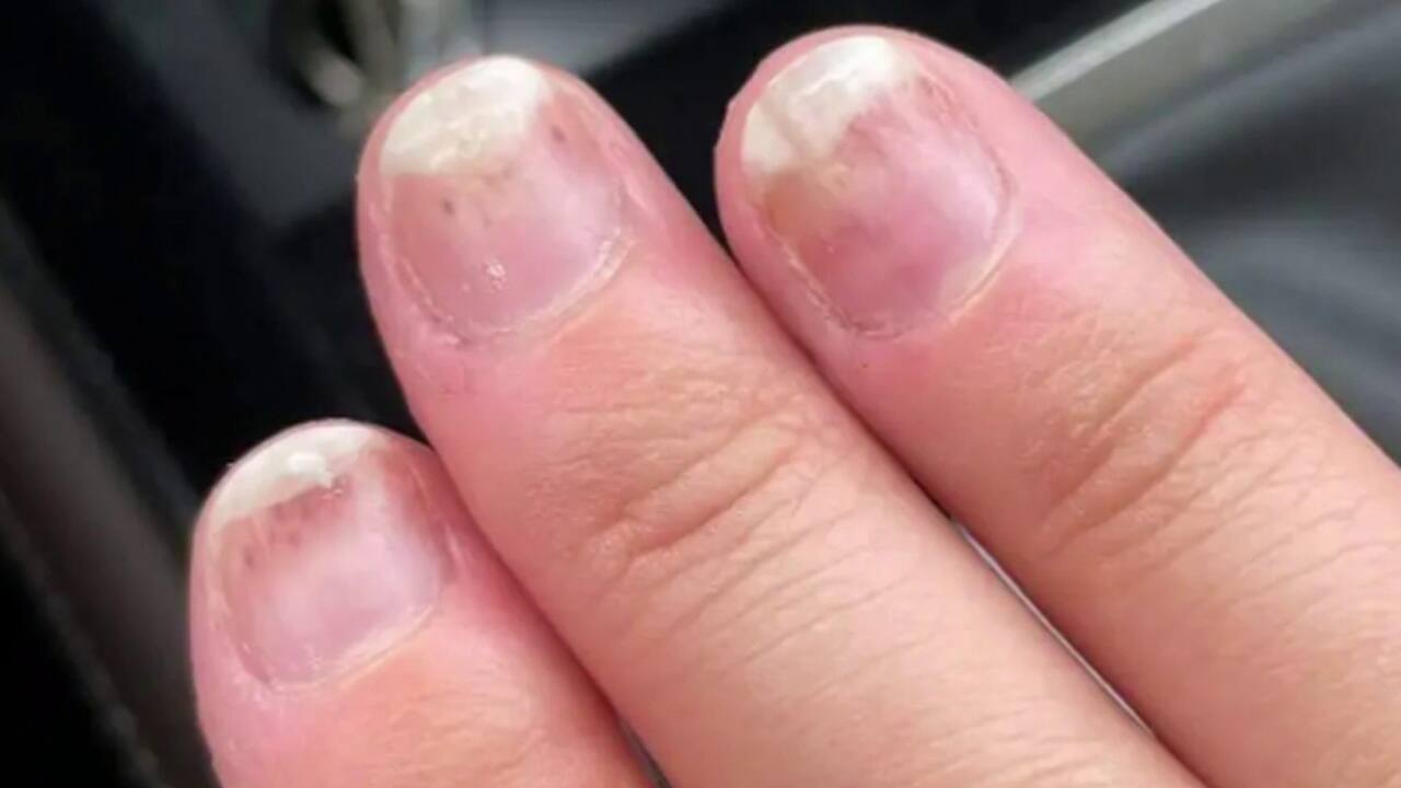 Vernis le manoir - 7h35