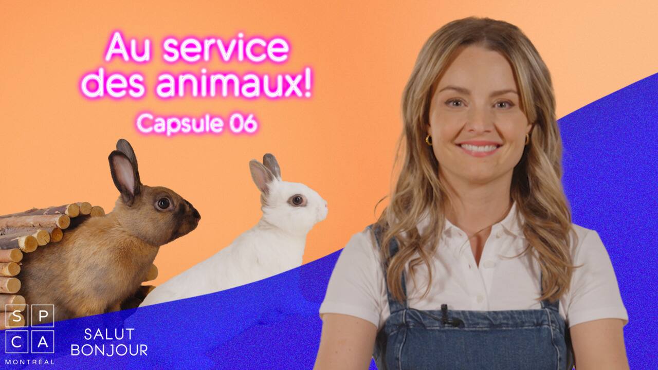 SPCA_CAPSULE_06_LAPINS_v2