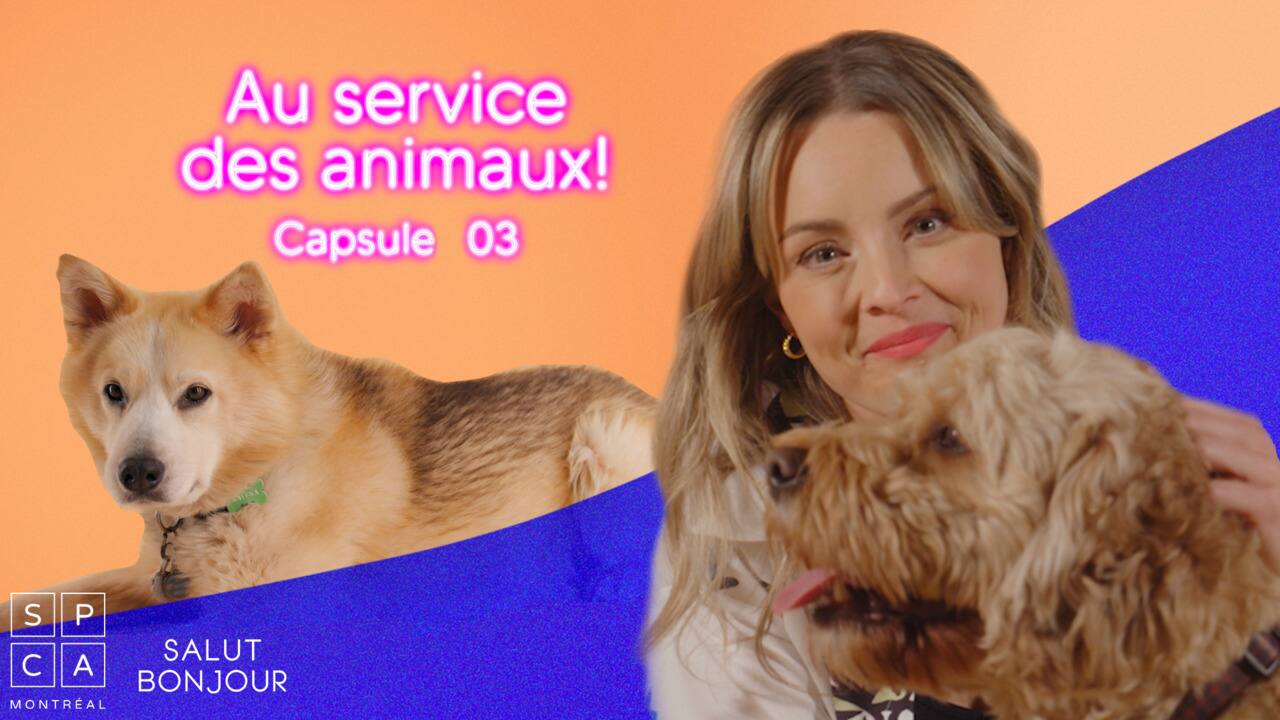 CAPSULE_03_RETOUR_AU_TRAVAIL_v3