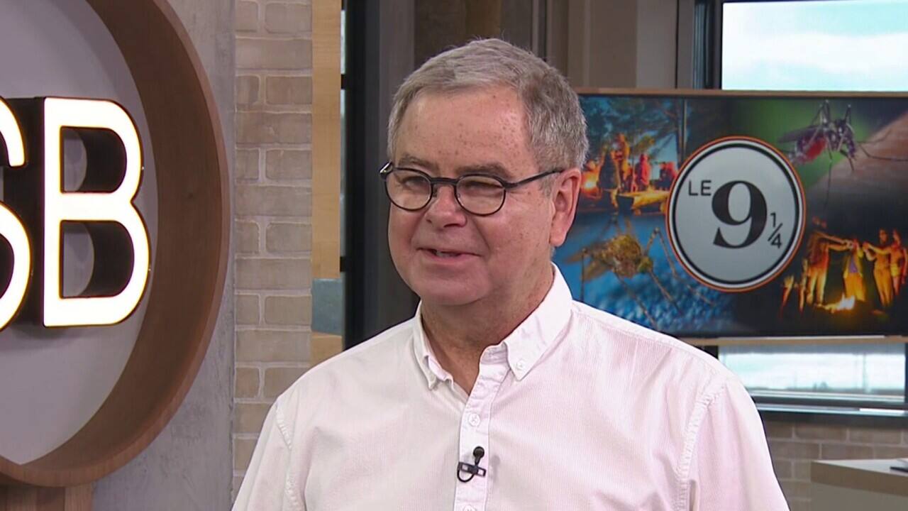 science de moustiques 