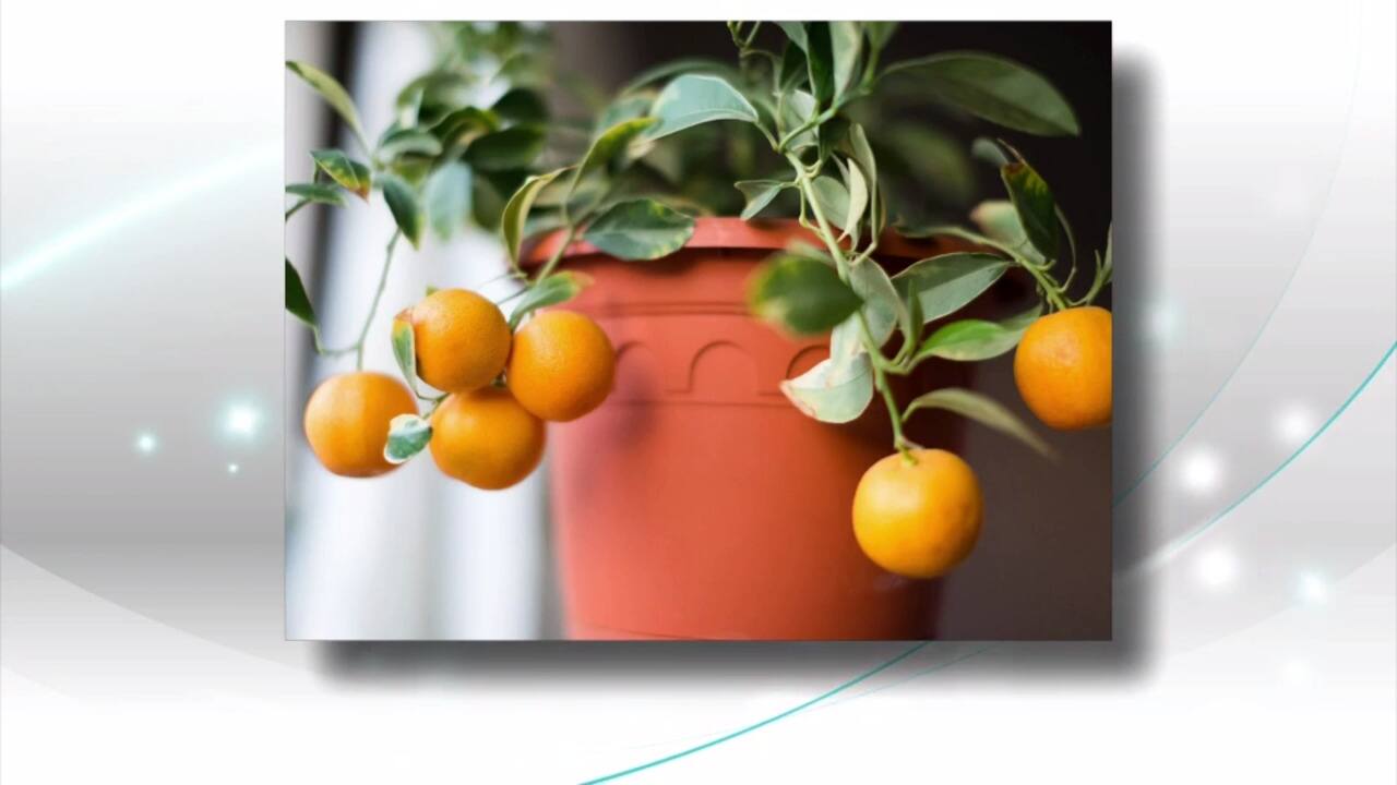 WEB_SalutBonjour_2021-03-24T08_49_09__4759333-04_00D473072