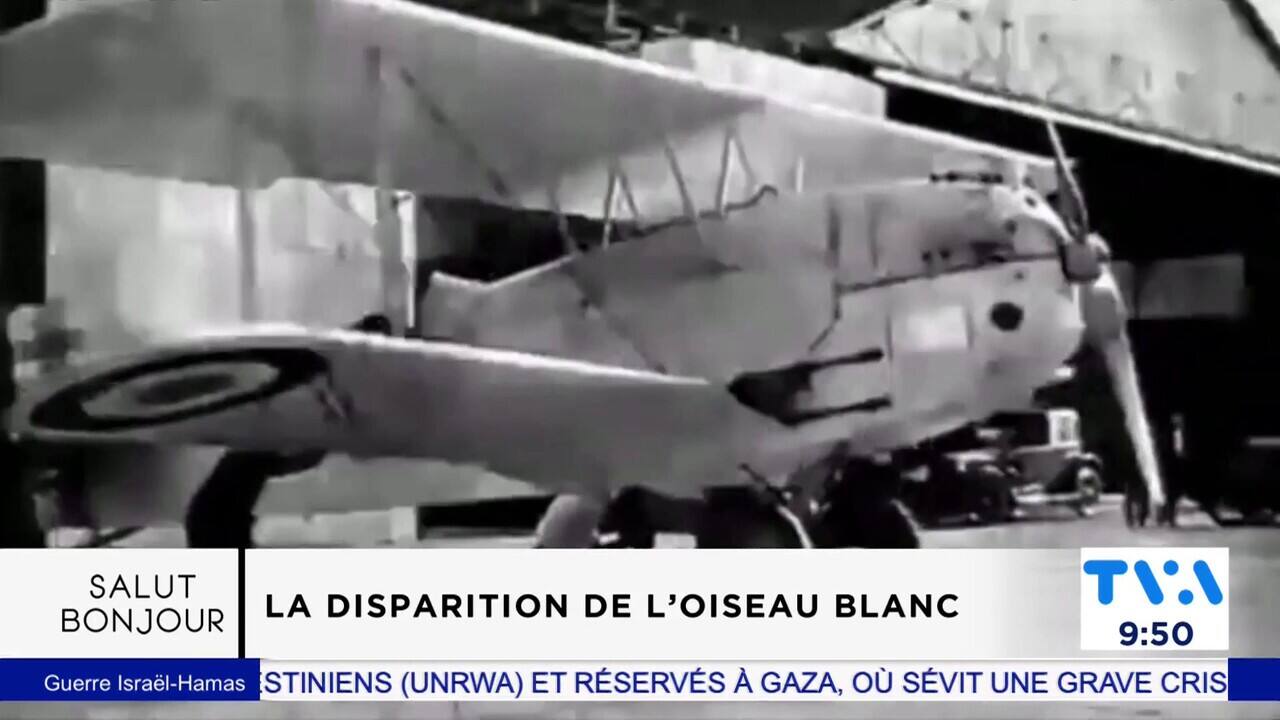 Le 9h45: La disparition de l'oiseau blanc